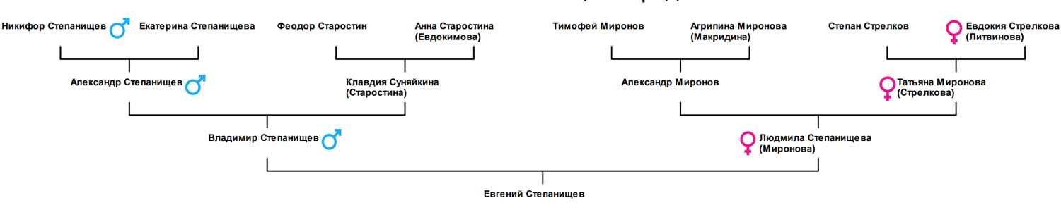 Распространение митохондриальной ДНК (68.19КиБ)