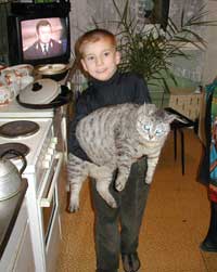 Кот Бублик