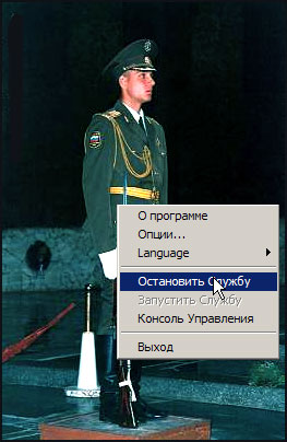 Солдат на службе (29Кб)