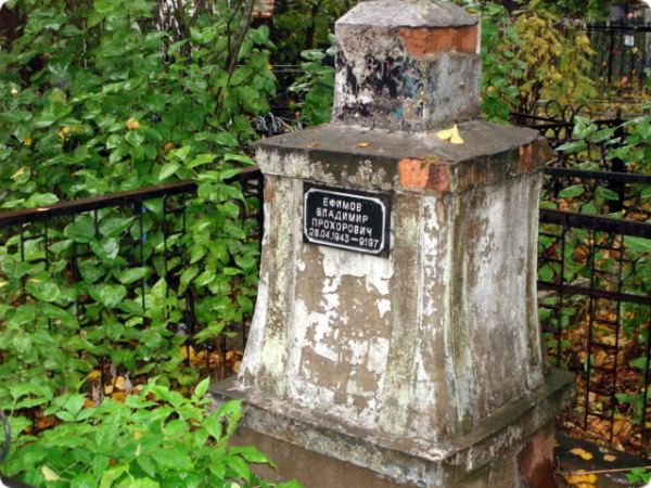 Погребальный памятник с табличкой «Ефимов Владимир Прокофьевич 28.04.1943–2017», окружённый зелёной растительностью и чёрной металлической оградой.