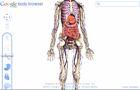Bodymap (25.09КиБ)