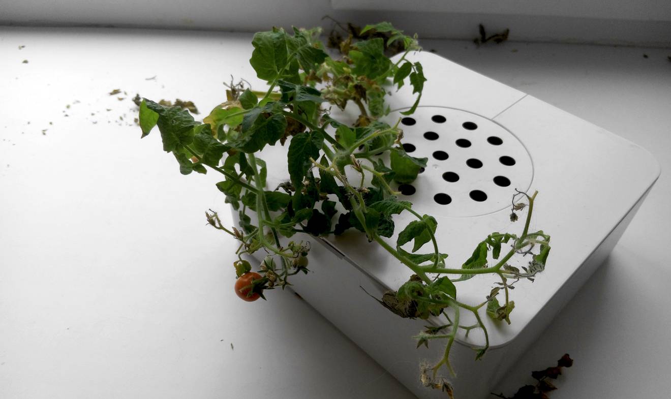 Click &amp; Grow (76.75КиБ)
