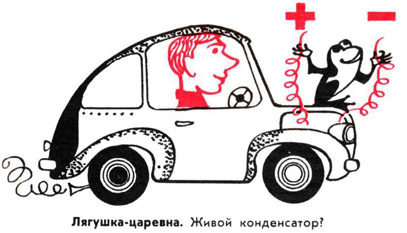 Карикатура: лягушка держит провода с плюсом и минусом у капота машины, где сидит водитель; подпись «Лягушка-царевна. Живой конденсатор?