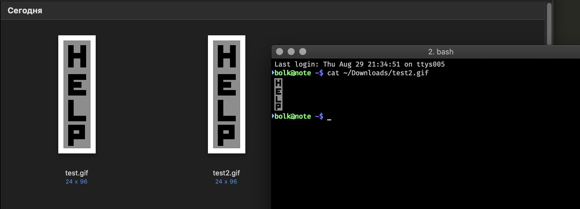 Скриншот: два файла test.gif и test2.gif (24x96) с вертикальным текстом HELP рядом с терминалом bash, где выполнена команда cat ~/Downloads/test2.gif, выводящая тот же текст HELP.