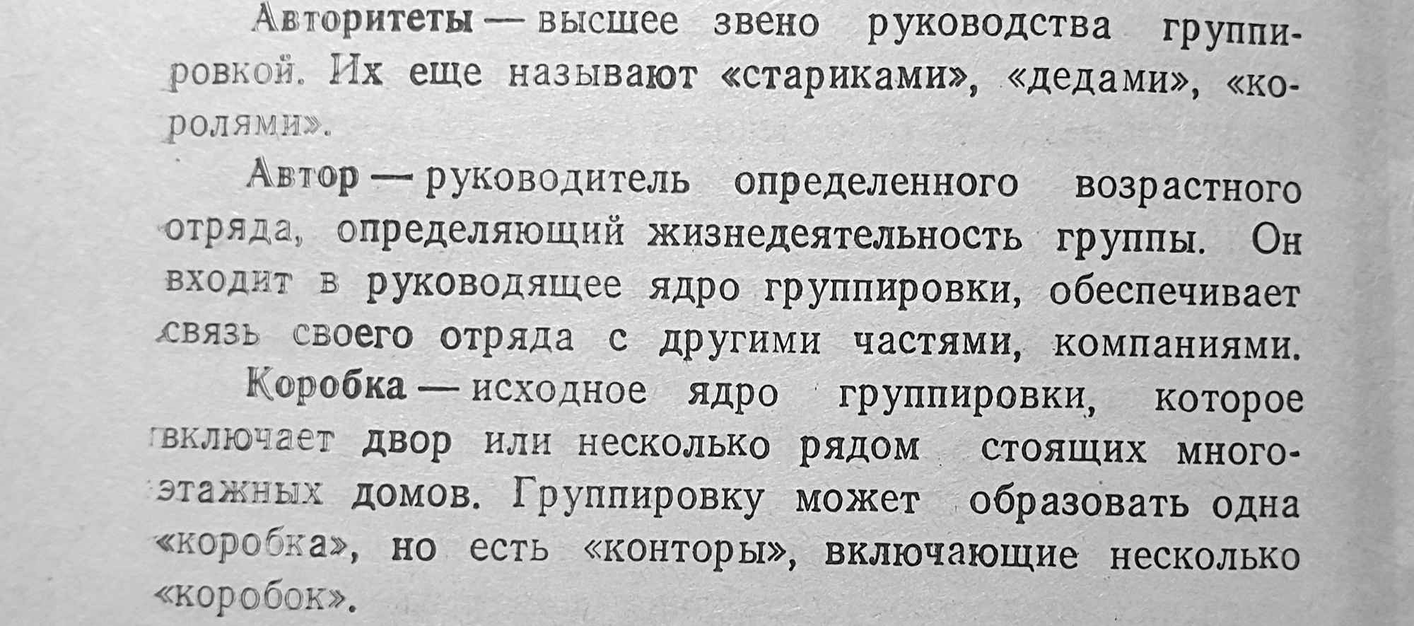 Текст определяет термины: «авторитеты» — высшее звено руководства, «автор» — руководитель отряда, «коробка» — исходное ядро группировки, включающее двор или несколько домов.