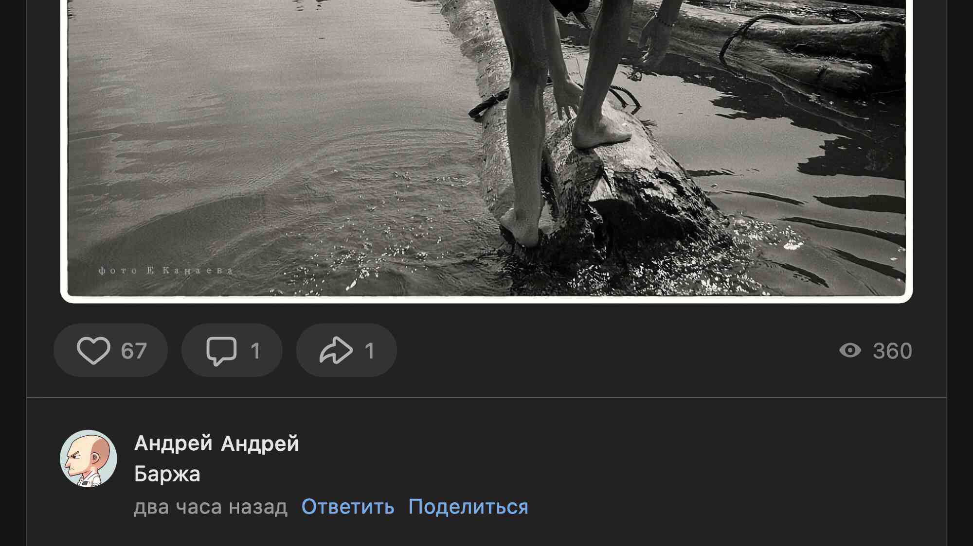 Чёрно-белое фото: ноги человека идут по бревну в воде, на снимке подпись «фото Е. Канаева».
