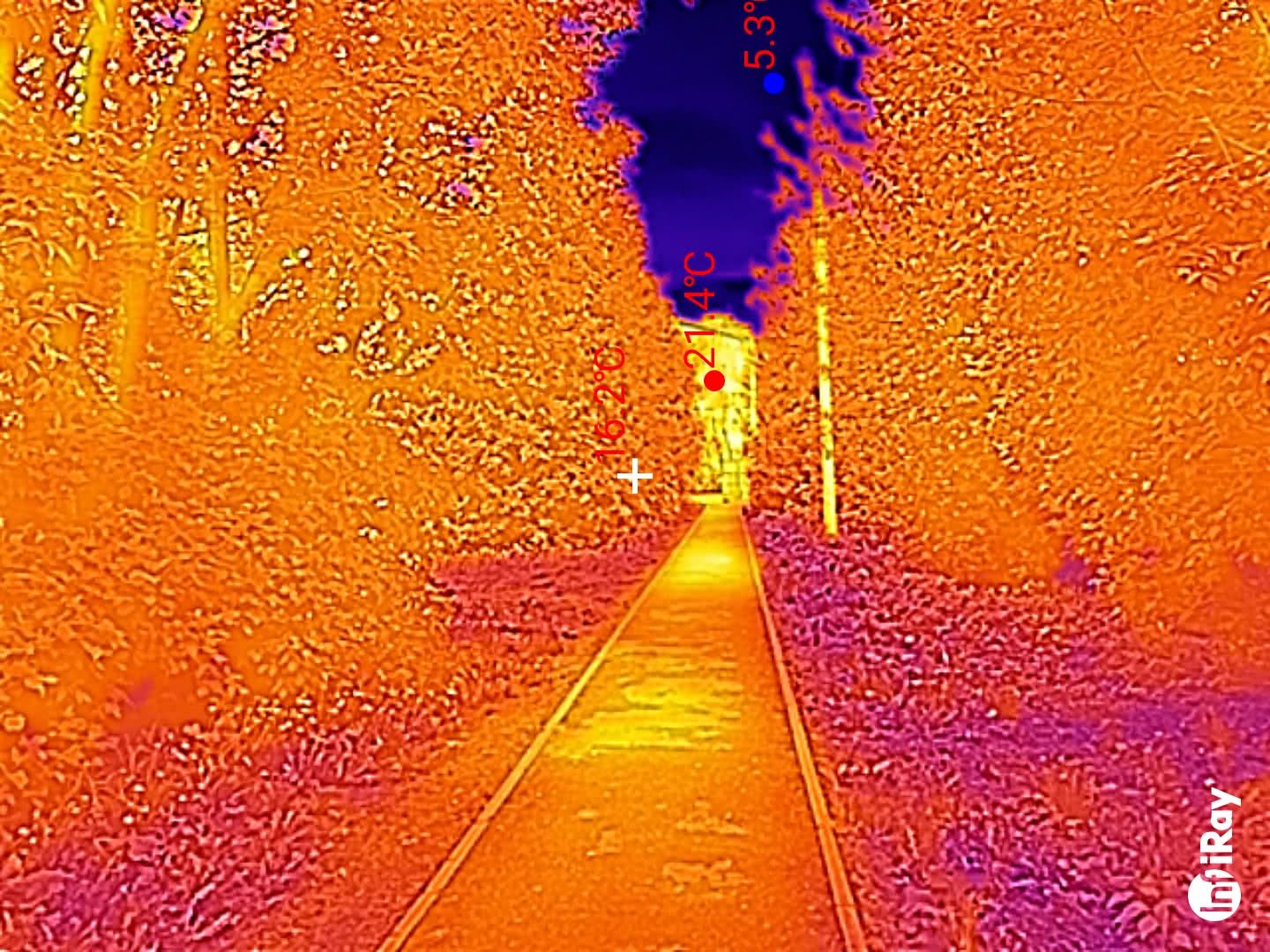 Тепловизионное изображение железнодорожных путей в лесу: температура рельсов 21,4°C, окружающей растительности — 16,2°C, неба — 5,3°C; логотип FLIR в углу.