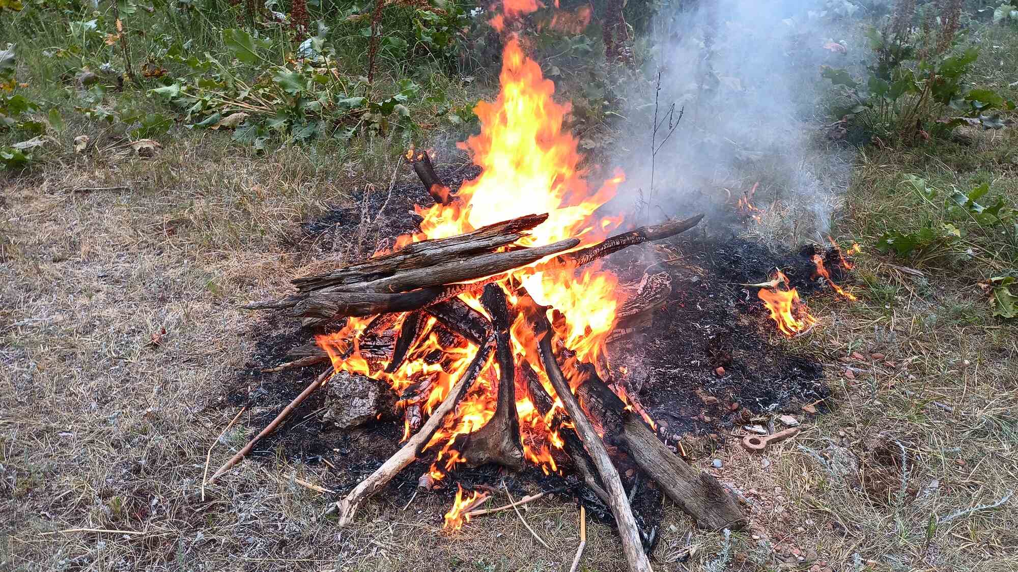 Горящий костёр из сухих веток и дров на фоне травы и кустарников, с яркими пламенем и дымом, поднимающимся вверх.