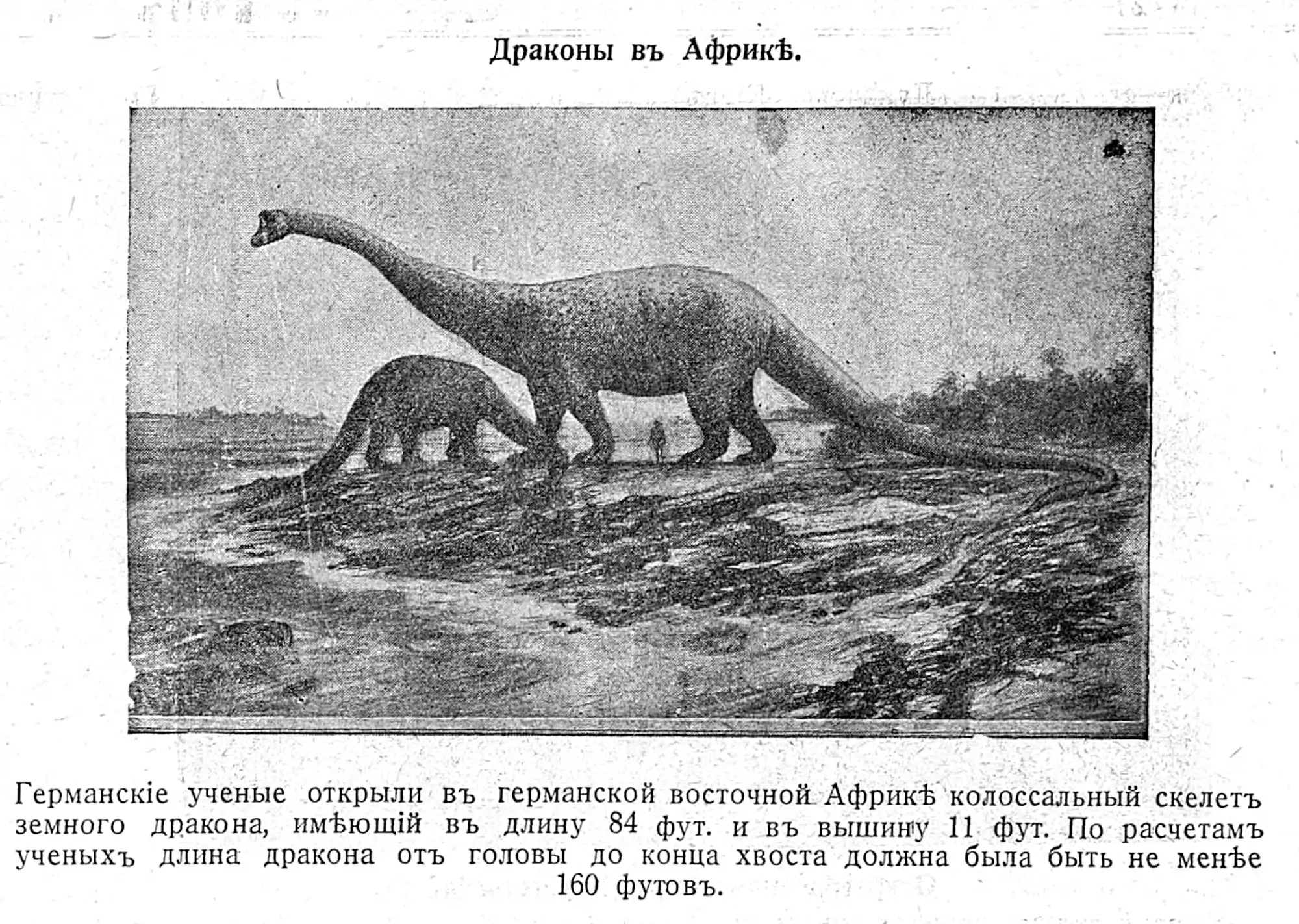 Иллюстрация «Драконы въ Африкѣ»: два гигантских земных дракона с длинными шеями и хвостами, один крупнее другого, стоят на равнине; под ними — человек для масштаба.