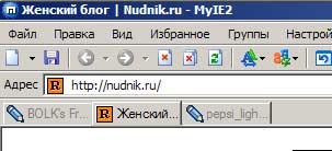 Nudnik, женский блог (10.41КиБ)