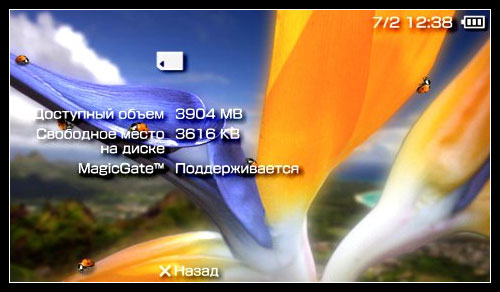 оригинальная Memory Stick Duo Pro на 4Gb (34.90КиБ)