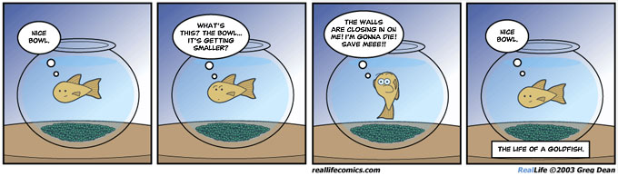Greg Dean goldfish comics (38.86КиБ)