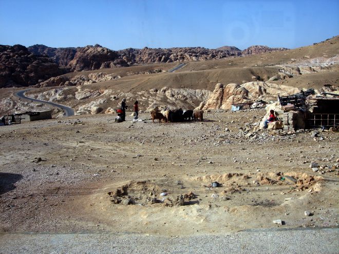 Бедуины (90.89КиБ)