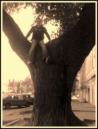 я на дереве